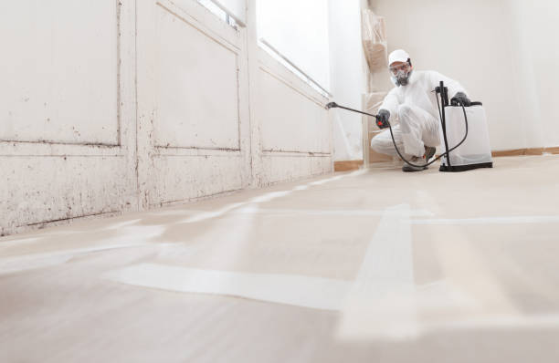 Black mold remediation team in Flower Mound
